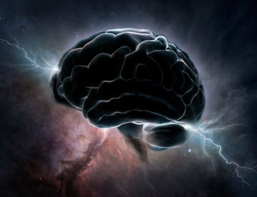 What is Neuralink? Brain chip by Elon Musk